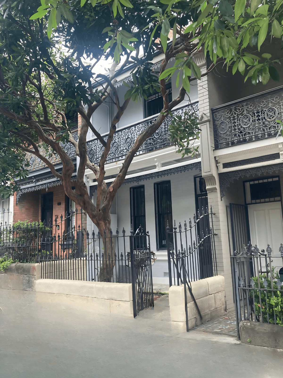 Ornate Victorian terrace houses featuring black iron balconies and a large tree in front.